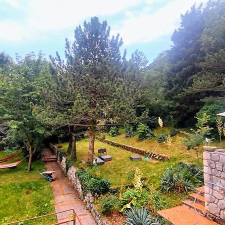 Amazing Sea-Mountain Valley View House With 3 Terraces And Huge Chill Gardens, 5Min From The Sea! Bribir  Eksteriør bilde